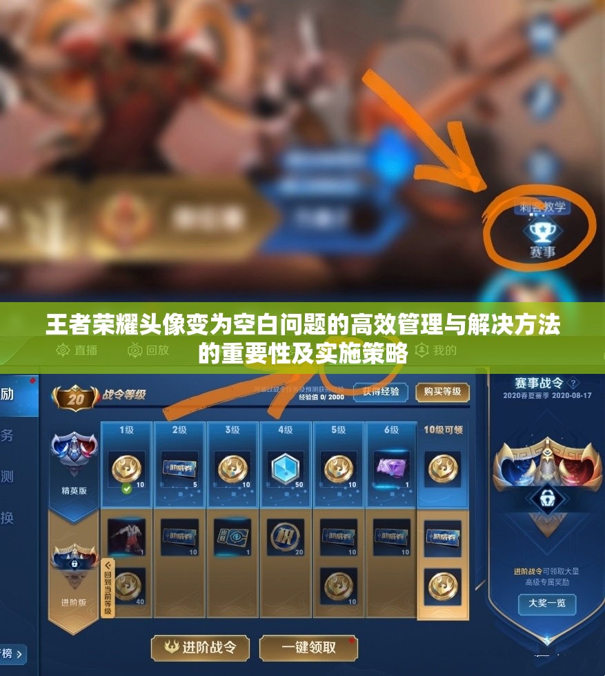 王者荣耀头像变为空白问题的高效管理与解决方法的重要性及实施策略