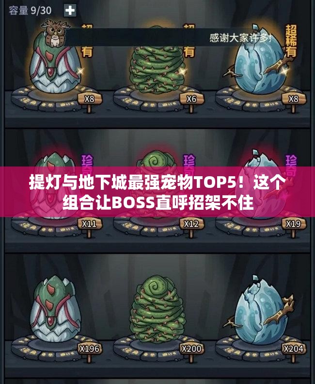 提灯与地下城最强宠物TOP5！这个组合让BOSS直呼招架不住